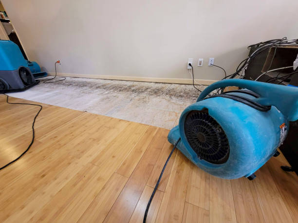 Reliable Basement Flood Cleanup contractor in Weatherford, OK by Hirex Water Damage